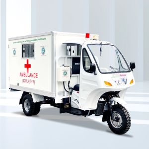 Electric Tricycle Ambulance with Closed Body Type and 800W Motor DY200ZK-A