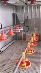 Adjustable Speed Chicken Feeding Line Poultry Pan Feeding System