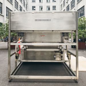 Stainless 304 Food Grade Hopper Lingonberry Color Separating Machine