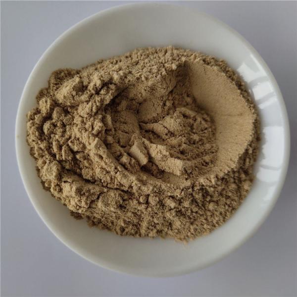 Quality gmp cure osteoporosis horsetail extract in bulk wholesale