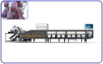 Artificial Intelligence Sorting Equipment 12 Lanes Dates Sorting Machine