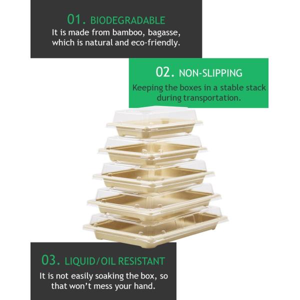 Cake Sushi Packing Box Eco Friendly Biodegradable Compostable