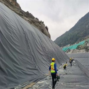 Smooth Plastic Black White Blue Green HDPE Geomembrane for 2mm Environmental