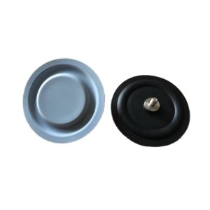 20 Bar PTFE EPDM Metering Pump Diaphragm For Industrial Applications