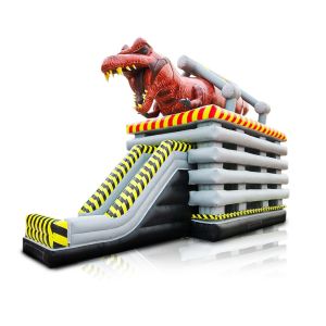 Max Capacity 100-500kg 2024 Inflatable Double Slide Bounce House for 5-10