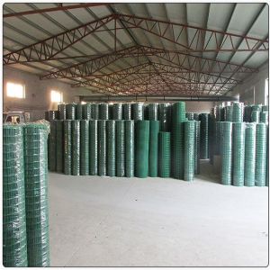 6ft hot dipped welded wire mesh roll galvanized welded mesh fencing