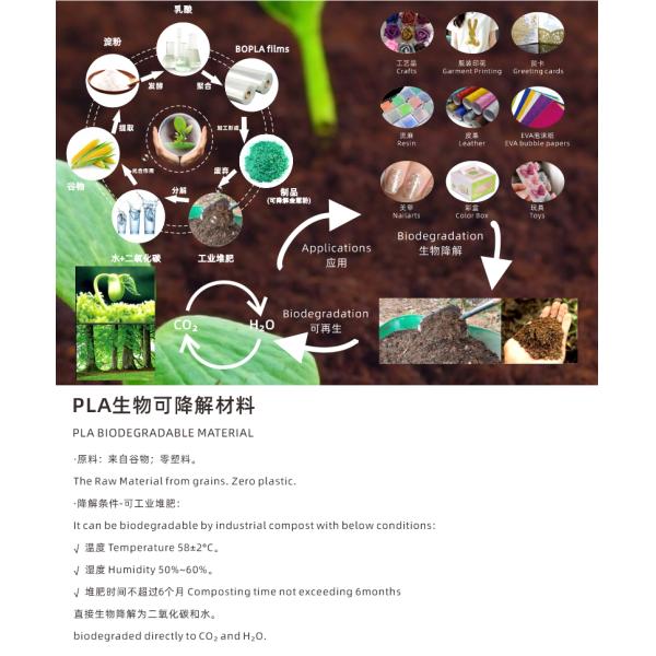 Custom Colorful star Eco Friendly Face Glitter Powder For Biodegradation Leather Decoration