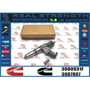 Diesel N14 Common Rail Fuel Injector 3080931F 3087558F 4307795 6087807