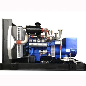 Chinese 400KW Natural Gas Generator Set with Soundproof Canopy and Electrical