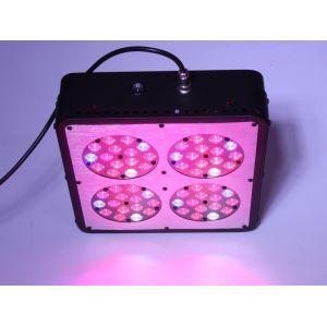 Cheap Full spectrum LED Grow Lights: Hydroponics &amp; Seed Starting 180W LED for Starter Grow tent for sale