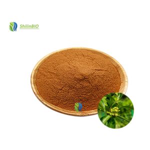Factory Wholesale Gymnema Sylvestre Leaf Extract 25% 75% Gymnemic Acid Powder