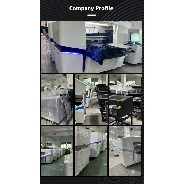 Professional DTG Printer with Advanced RIP Software Compatibility