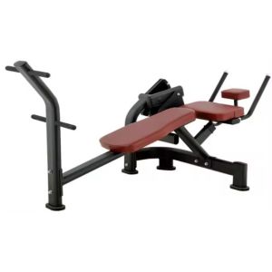 Adjustable Bench Commercial Gym Equipment for Back Extension and ABS Machine Pin