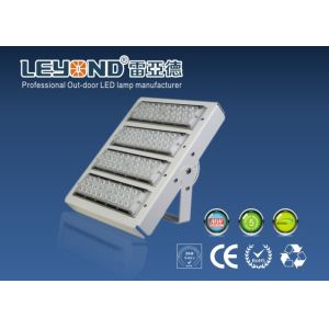 Cheap High Efficiency 140m/w 5000K Led Flood Lamps Warm White Super Thin IES files DIALUX design for sale