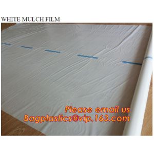 Agricultural Mulching Film Used for Fruit, Flower and Vegetable Polyethylene