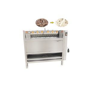 Popular Type Root Vegetable Washing Peeling Machine For Sell Automatic Potato