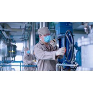 State Powder Sodium Starch Glycolate for Your Request Sample from CAS No. 9063