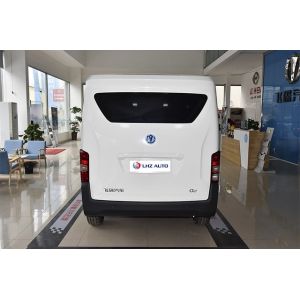 5 Cubic Meters 2 Tons 260km Range No Sunroof The 2024 Small Energy Van with TPMS