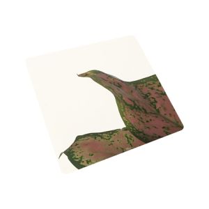 Super Mirror Polished Stainless Steel Sheet Cut To Size Mirror Finish SS Sheet