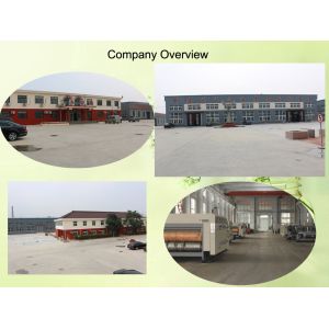 Multi Color High-Speed Flexo Printer Slotter Machine Die Cutting Carton Printing