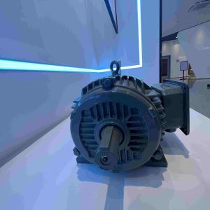 Low Vibration Dust Proof Permanent Magnet Synchronous Electric Motors