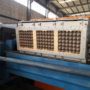 200KW paper recycling machine Paper Eggs 2000pcs Pulp Tray Machine
