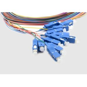 Outdoor Multi Core 12 Fiber 1m SC Fiber Optic Pigtails