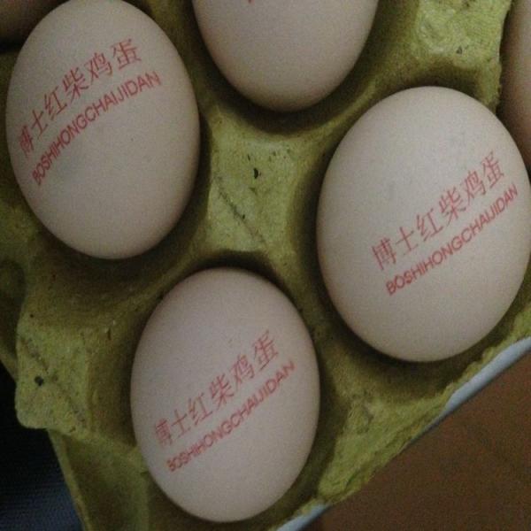 12V 4A Egg Jet Printer / Egg Inkjet Coding Machine For The Entire Pallet Eggs