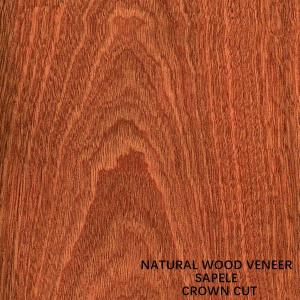 China Paneling And Doors Africa Natural Sapele Wood Veneer Flat Cut Crown Grain AAA Grade on sale