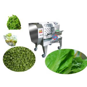 500KG/H Fermented Vegetable Processing Equipment / Green Salad Chopper Cutting