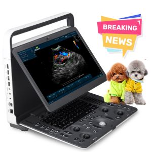 E2V Veterinary Ultrasound Doppler Color Sonoscape E2