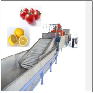 automatic fruit apple washing and waxing and sorting macine fruit sorting