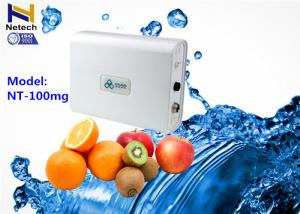 Cheap 100mg Fruit Vegetable Odor Free Ozone Generator 110V Water Air cleanr Ozonizer for sale