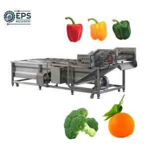 Cheap Customized Fruit Cleaning Machine and Vegetable Washing Equipment for Cleaning for sale
