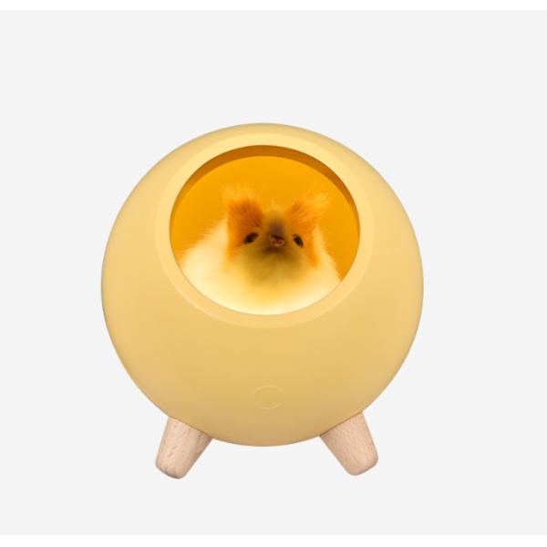 Quality Kingda 1200MAH Little Pet House Night Light 3 hours Charging wholesale