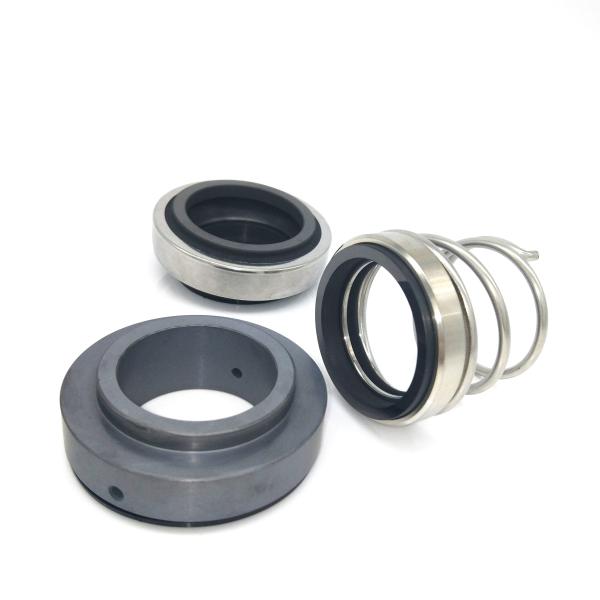 SIC SIC FKM APV Pump Seal Double Face Mechanical Seal 160A 25mm 35mm