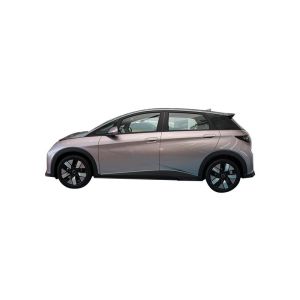 Level Large and Medium Vehicles 2023 Trending 401km Knight Byd Dolphin Electric