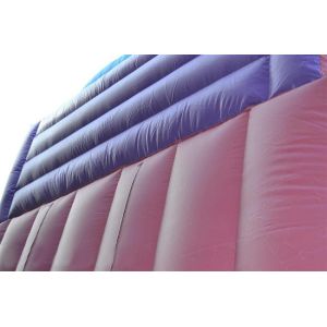 30ft Princess Inflatable Dry Slide , Faires Slide Purple Giant Bouncy Slide
