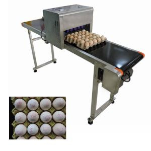 Intelligent Date Code Printing Machine , Laser Date Code Printer For Eggs