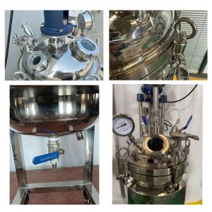 Stainless Steel Double Jacketed Reaction Vessel for Precise Temperature Control