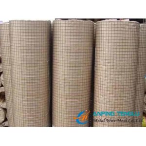Electric Galvanized Welded Wire Mesh, Bright Color and Smooth Surface