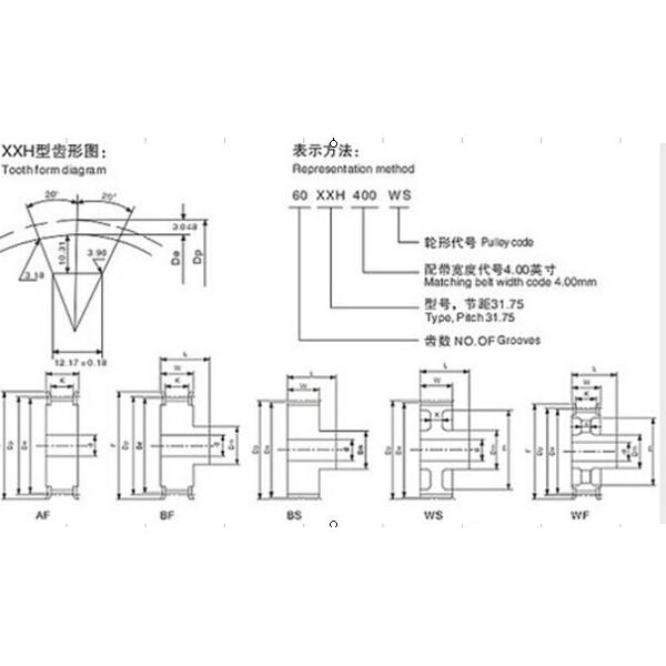 Timing Belt Pulley , Aluminium Timing Pulley , Timing Belt Tensioner Pulleys