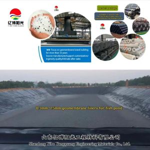 Direct Supply 0.3mm-1.5mm HDPE Geomembrane Liners for Industrial Customizable