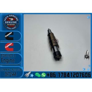 Diesel Fuel Injector Common Rail Injector Is Suitable for Scania ISG XPI 2872544