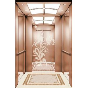 Cheap ORIA mordenized home resident home Villa elevator for sale