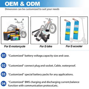 OEM Upgrade Electric Cycle Battery For 36V 48V Ebike E Scooter