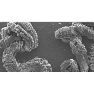 1% Ash Expandable Graphite Powder 1% Moisture 200ml/G 80 Mesh