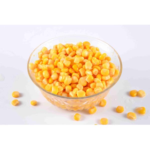 Quality New Crop Canned Sweet Kernel Corn in Brine Vegetable in Can or Jar wholesale