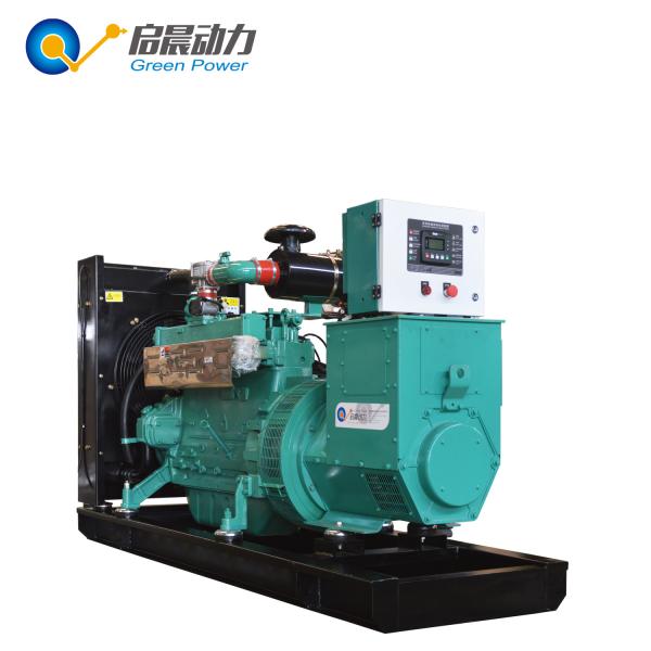 30kw 50kw 80kw 100KW Biogas Generator Price Natural Gas / LPG Generator at