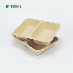 Disposable Biodegradable Sugarcane Clamshell Food Container 3 Compartment